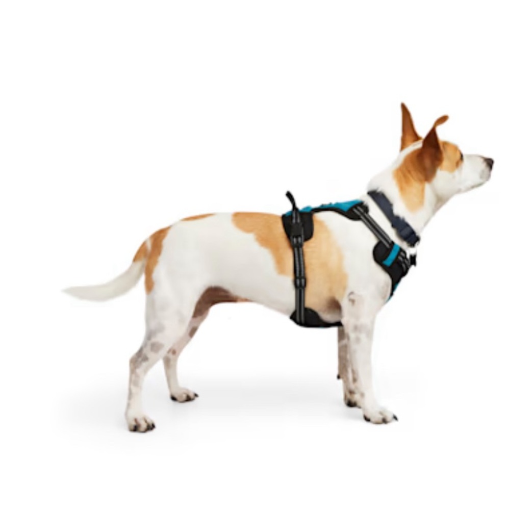 EveryYay Embrace the Pace Teal Reflective Dog Harness Small New w/ tag cut off - Picture 7 of 9